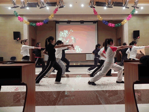 武术表演